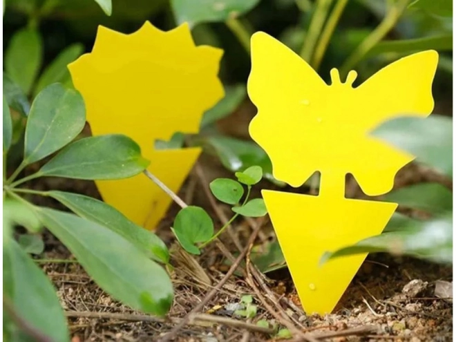 Autocollants adhésifs jaunes pour pots de fleurs