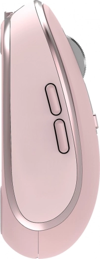 Interrupteurs silencieux et molette métallique