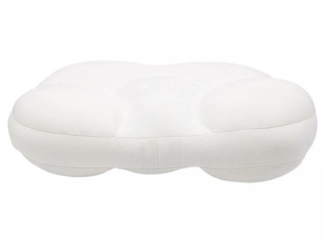 Oreiller orthopédique anti-allergène