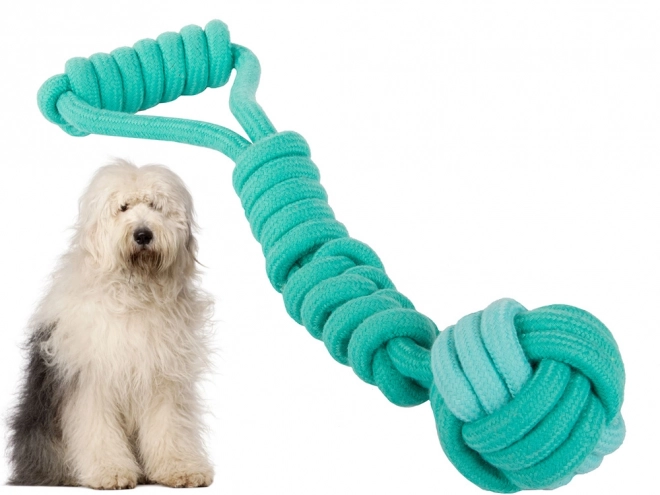 Longue corde à tirer pour chiens