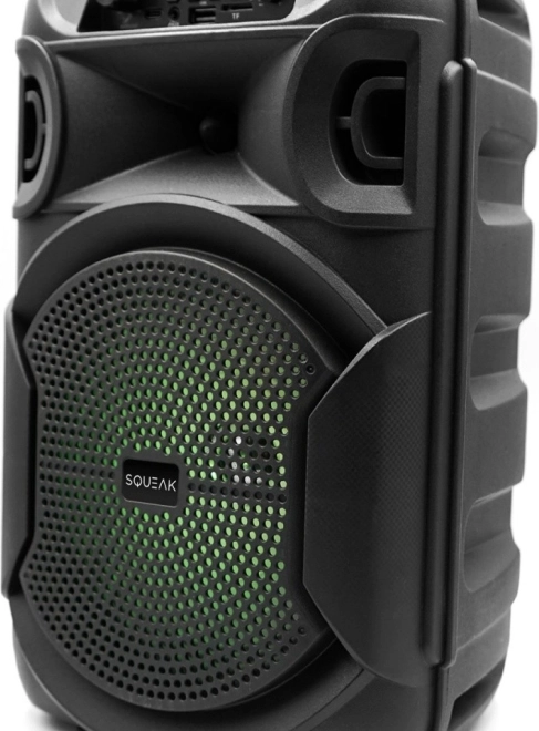 Enceinte Bluetooth Squeak PulseTower avec karaoké, 1000 W