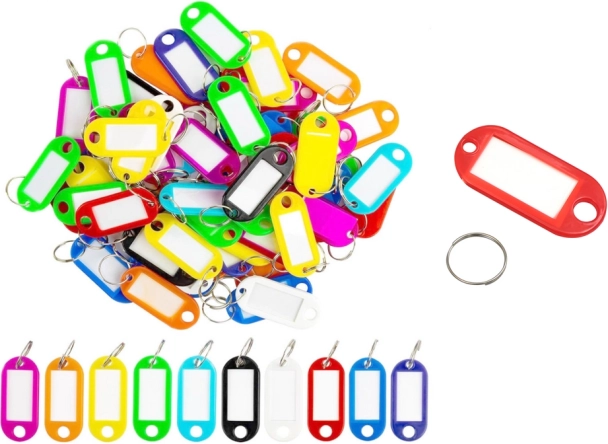 Étiquettes porte-clés en plastique colorées, lot de 100 pièces