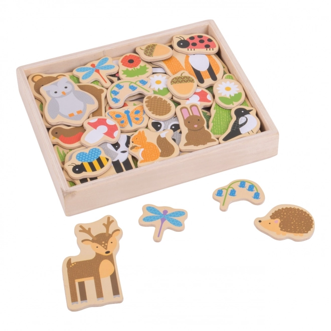 Bigjigs Toys Animaux de la Forêt Magnétiques