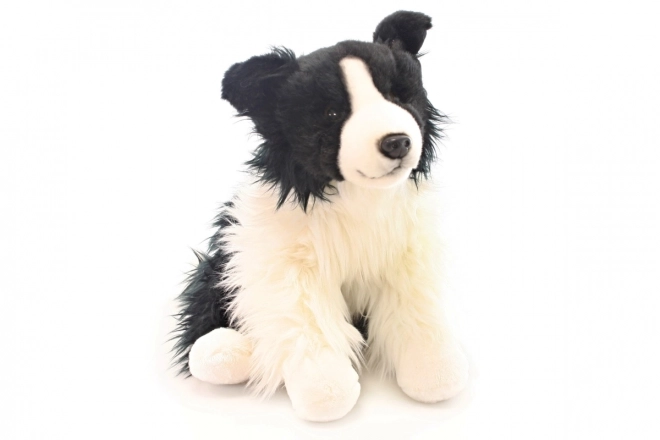 Peluche Border Collie 35 cm