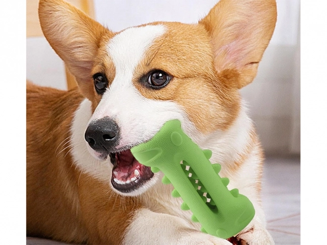 Jouet à mâcher pour le nettoyage des dents des chiens