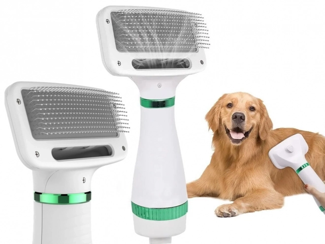 Sèche-cheveux brosse peigne 2en1 pour animaux de compagnie