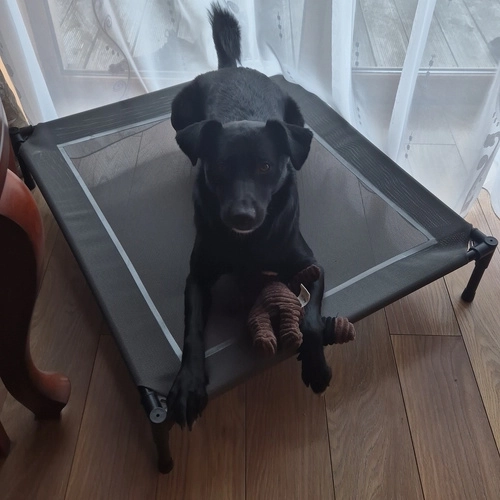 Lit couvert pour chiens XXL Purlov