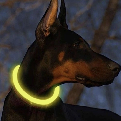 Collier LED lumineux pour chiens et chats