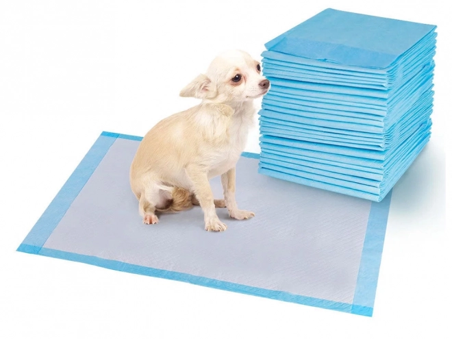 Sous-couches pour chiens en phase d'apprentissage à uriner 45x60 50 unités