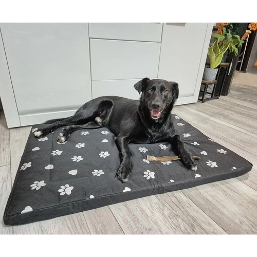 Couchage pour chien XXL imperméable