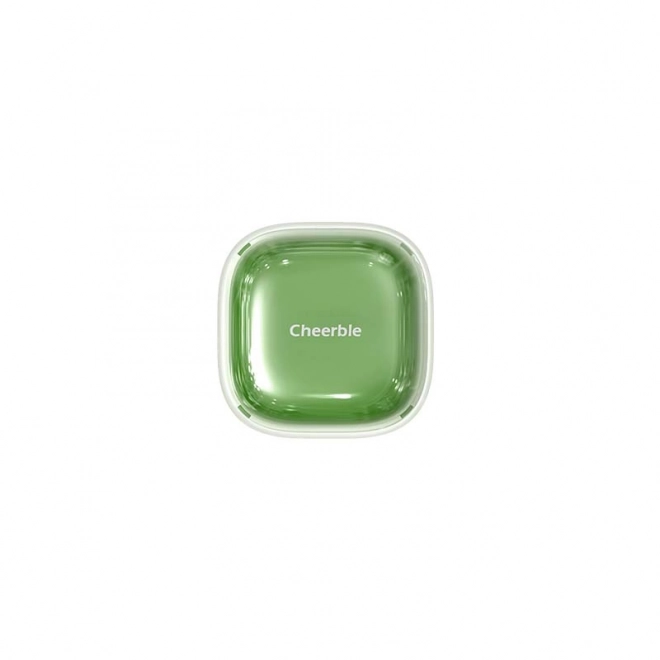 Brosse Cheerble Candy pour animaux (verte)
