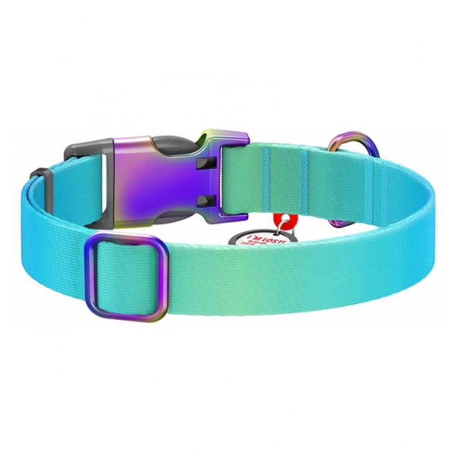 Collier en nylon pour chiens avec code QR WAUDOG, bleu