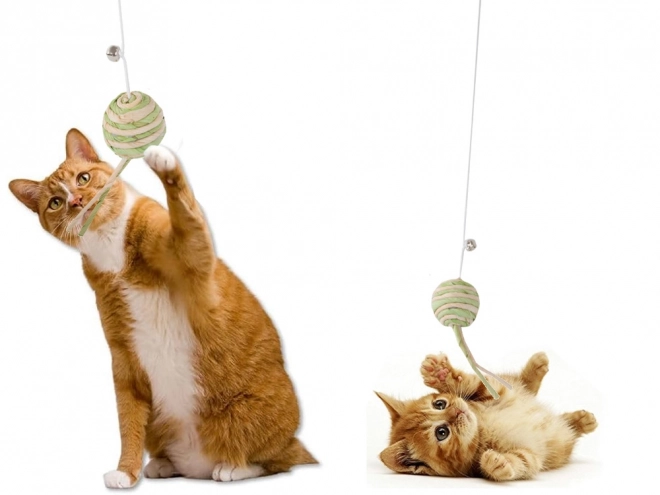 Jouet pour chats canne à pêche avec balle et grelot
