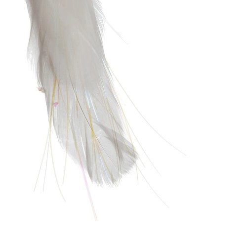 Queue en plumes pour un aspect naturel