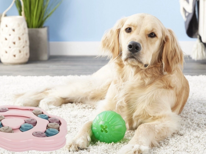 Jouet éducatif pour chiens - jeu logique avec friandise