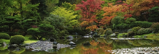 Puzzle 1000 pièces – Reflet Zen panorama