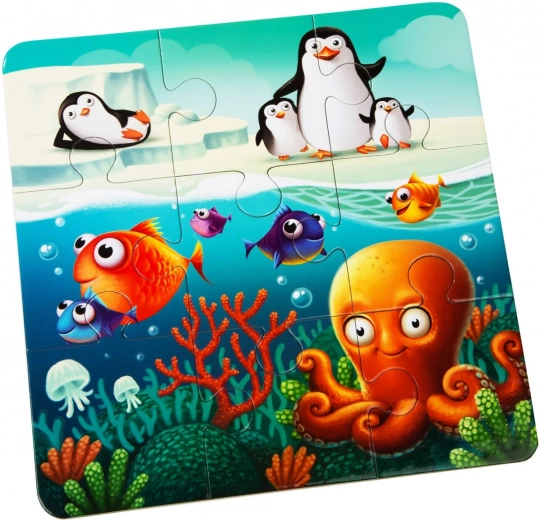 Trois images à difficulté croissante