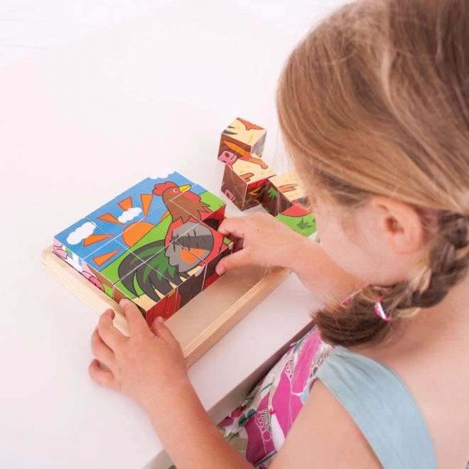 Cubes d'images de la ferme Bigjigs Toys
