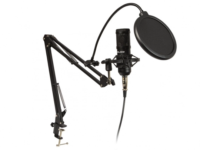 Microphone de studio avec support