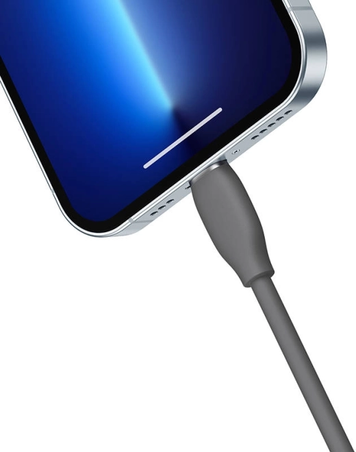 Charge rapide 2,4 A pour appareils Apple