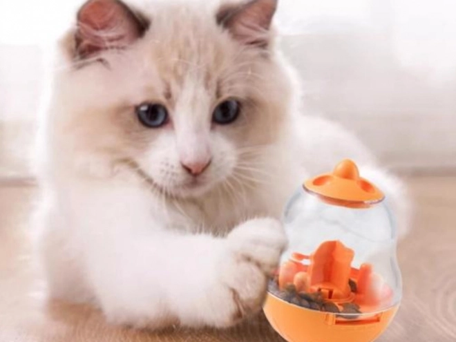 Distributeur de friandises interactif pour chiens