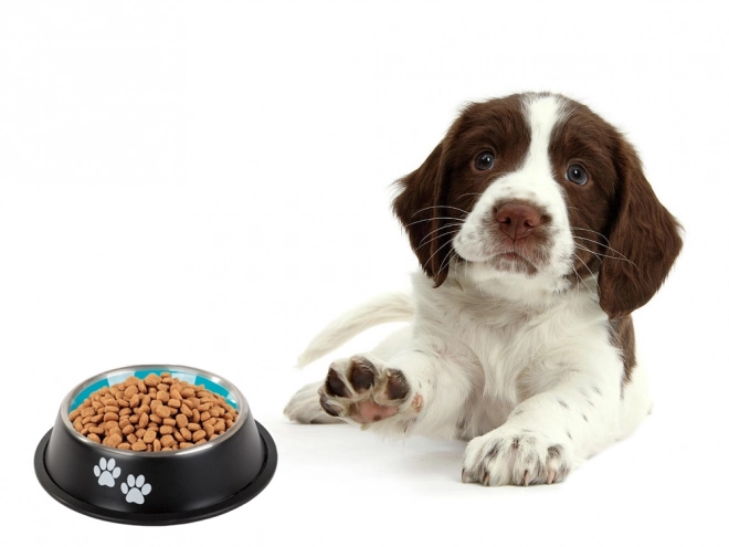Bol métallique pour chiens avec antidérapant