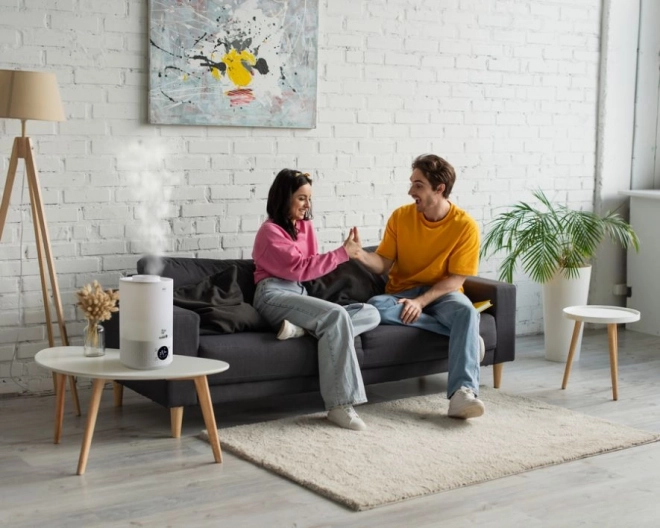 Humidificateur ultrasonique Atma Eldom