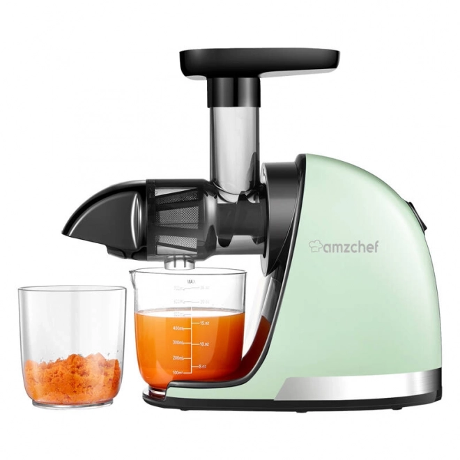 Extracteur de Jus Lent AMZCHEF