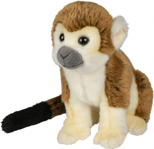 Choix sûr pour les tout-petits