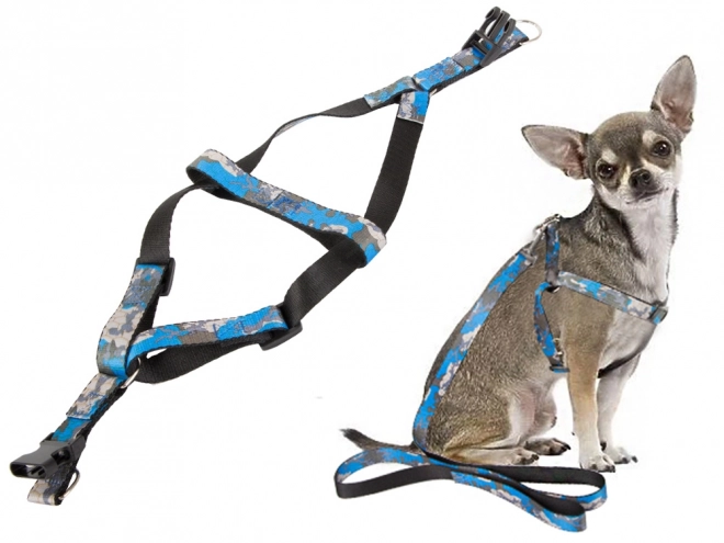 Laisse avec harnais confortable pour chiens et chats