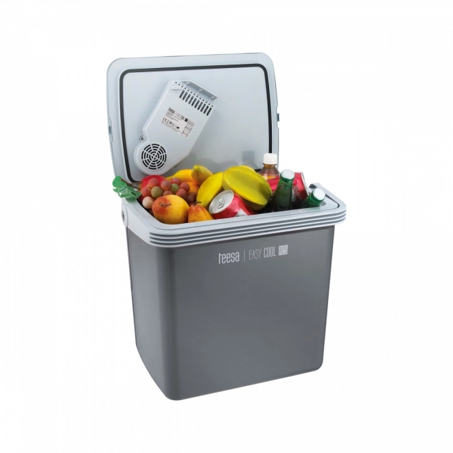 Réfrigérateur portable avec fonction de chauffage 25L