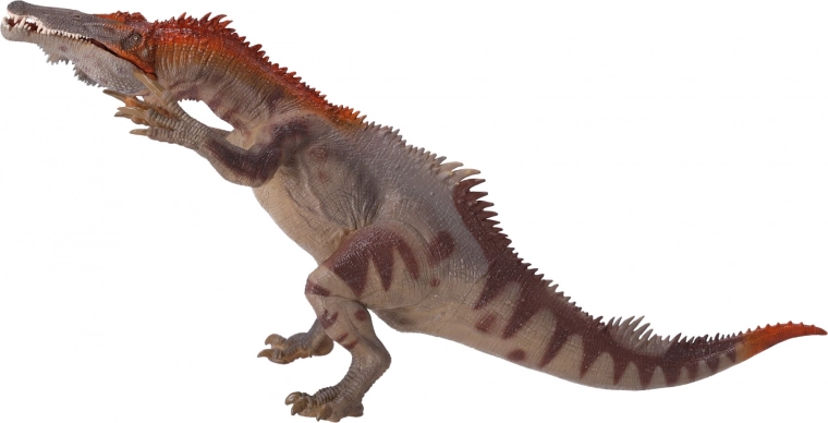 Adaptée aux collectionneurs