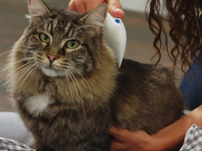 Peigne électrique anti-puces pour chiens et chats