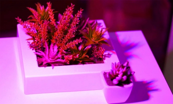 Lampe LED pour croissance des plantes 200 LED E27