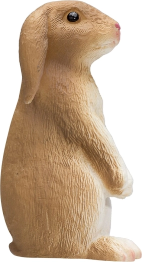 Idéale pour les jeux et comme décoration