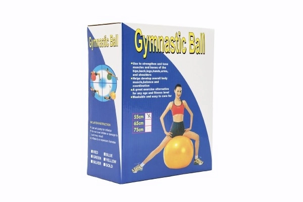 Balle de gymnastique pour exercices et relaxation