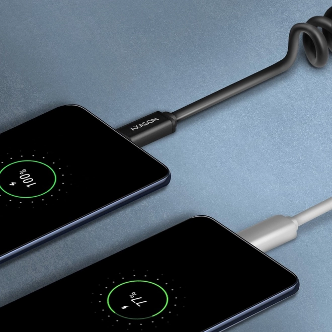 BUCM-AM20TB Twister USB-C - USB-A câble, 1,1 m, USB2.0 3A, ALU