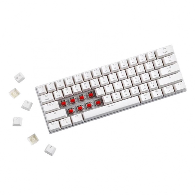 Clavier mécanique sans fil Motospeed SK62 White – Commutateur Bleu