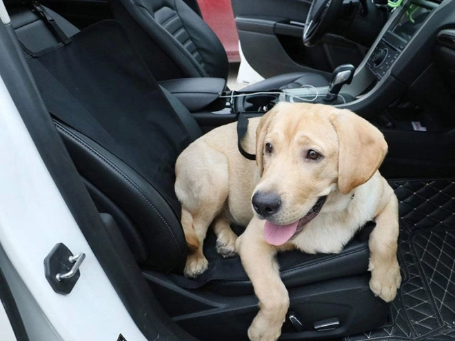 Housse de voiture pliable imperméable pour chien