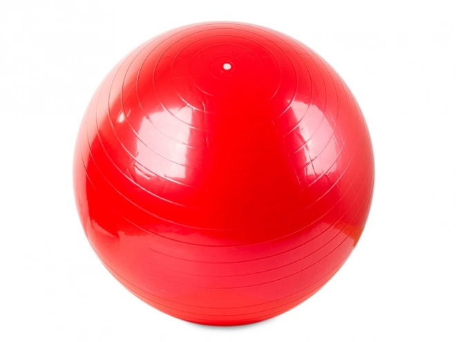 Balle de gymnastique avec pompe pour fitness et réhabilitation