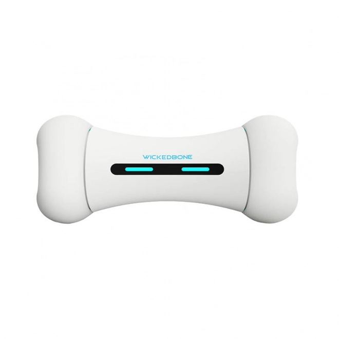 Jouet interactif pour chien Cheerble Wickedbone