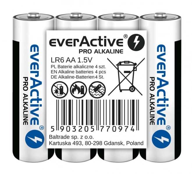 Piles alcalines AA everActive