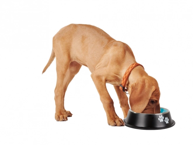 Bol métallique pour chiens avec antidérapant