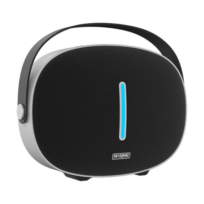 Haut-parleur Bluetooth sans fil W-KING T8 30W (noir)