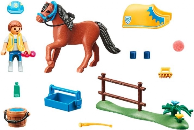 Tout pour prendre soin du poney