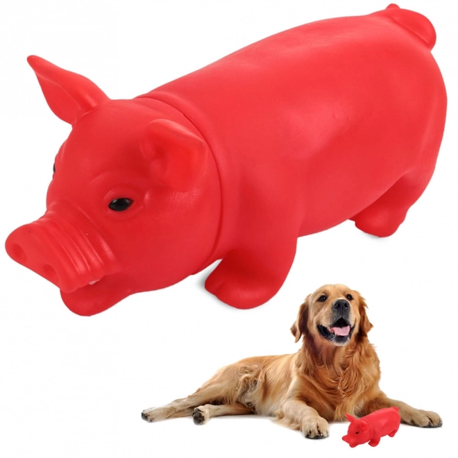 Jouet en caoutchouc pour chiens en forme de cochon qui couine
