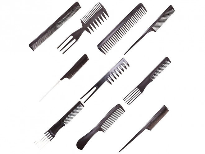 Ensemble de peignes de coiffure avec étui