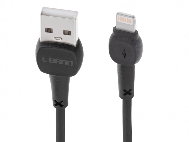 câble Lightning de charge rapide noir
