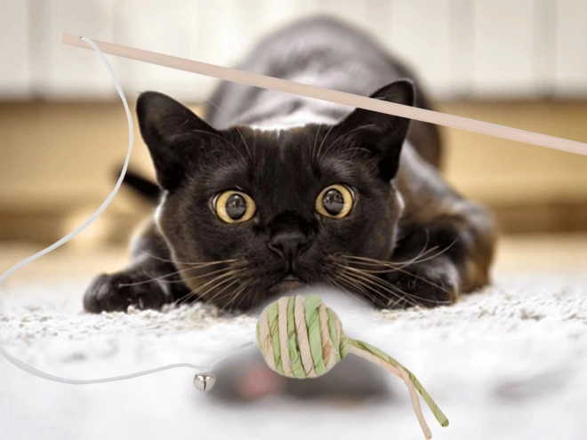 Jouet pour chats canne à pêche avec balle et grelot