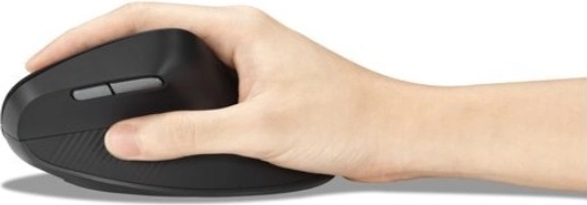 Multiples options de connexion